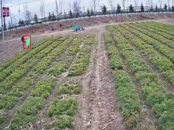 樹苗基地安防監(jiān)控系統(tǒng)怎么樣才安全？來看這里！